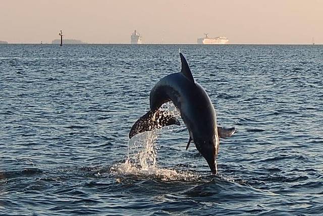 Tampa Bay