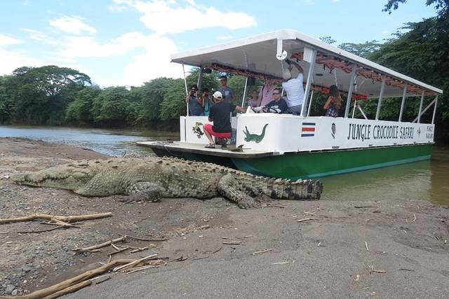Tárcoles Crocs