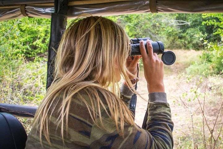 Yala safari, Negombo