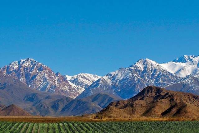 Uco Valley