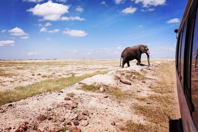 Amboseli