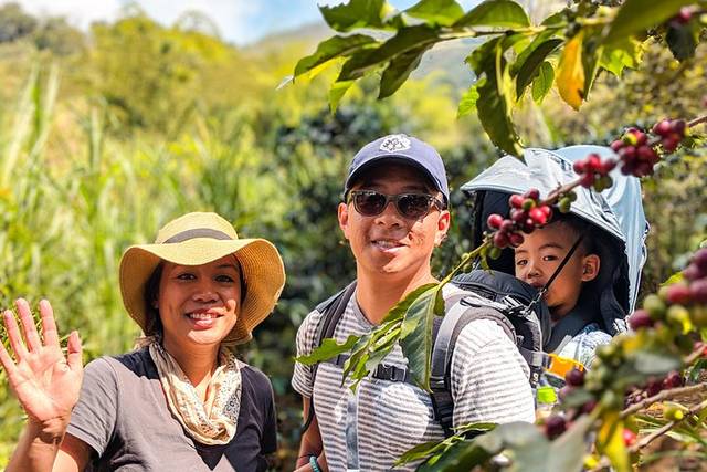 Coffee Farm