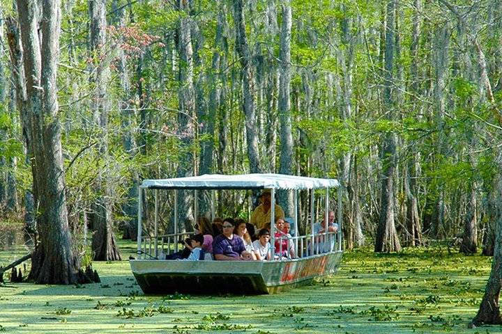 Swamp & bayou, New Orleans