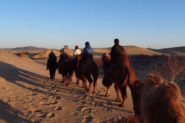 Gobi Desert, Ulaanbaatar