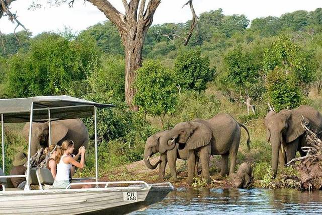 Chobe Park