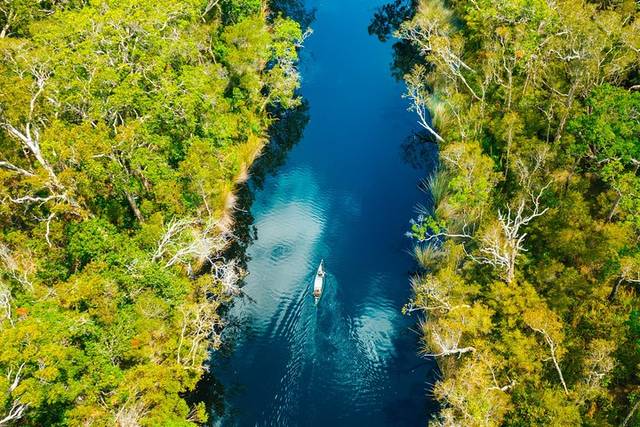 Noosa Everglades