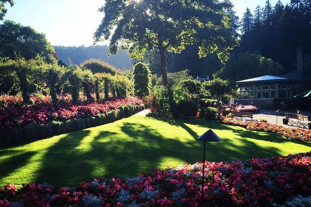 Butchart Gardens