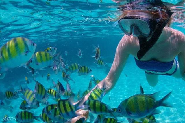 Mactan Islands