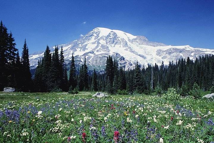 Mount Rainier, Seattle
