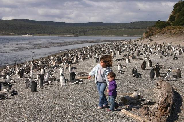Martillo Island