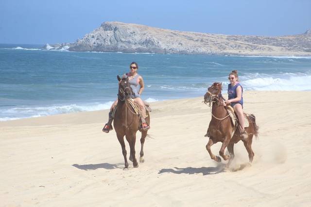 Beach Rides