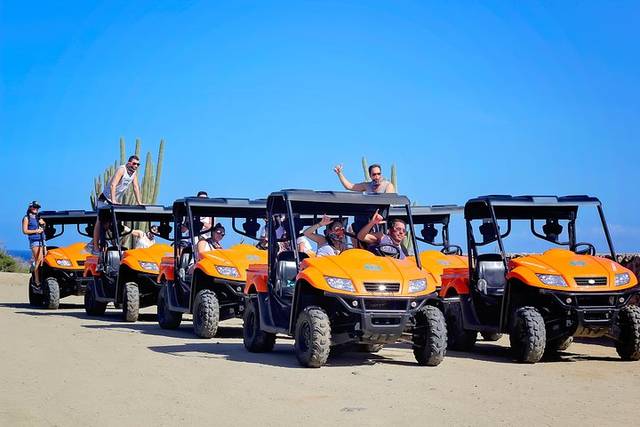Island Tour