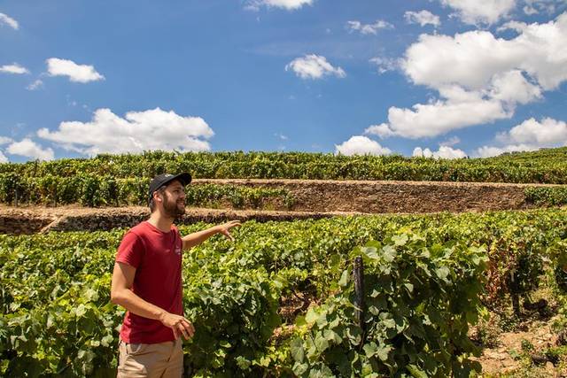 Vinho Verde