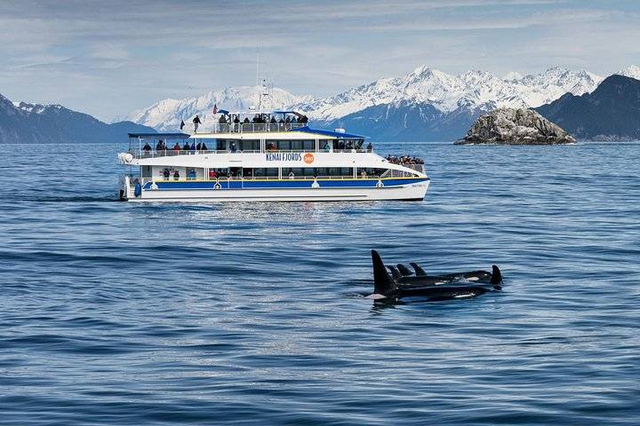 Kenai Fjords, Anchorage
