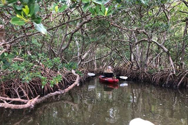 Weedon Island