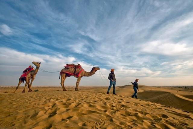 Thar Desert