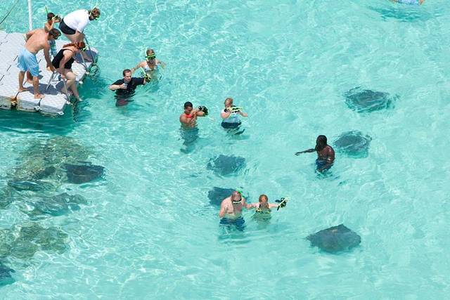 Stingray City