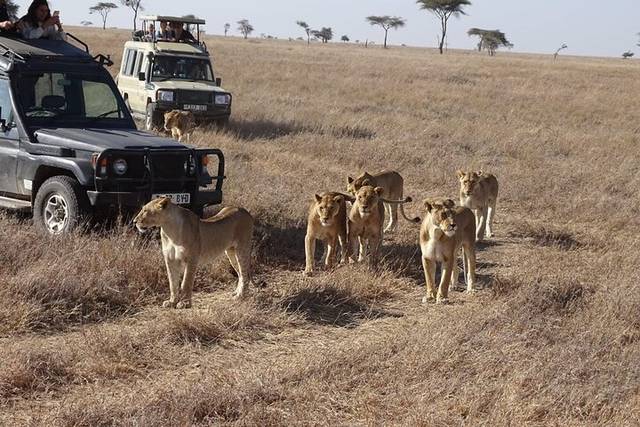 Game Drives