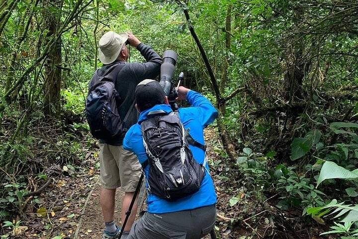 Cloud Forest, Monteverde