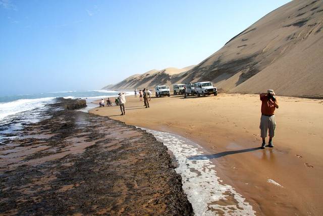 Coastal Dunes
