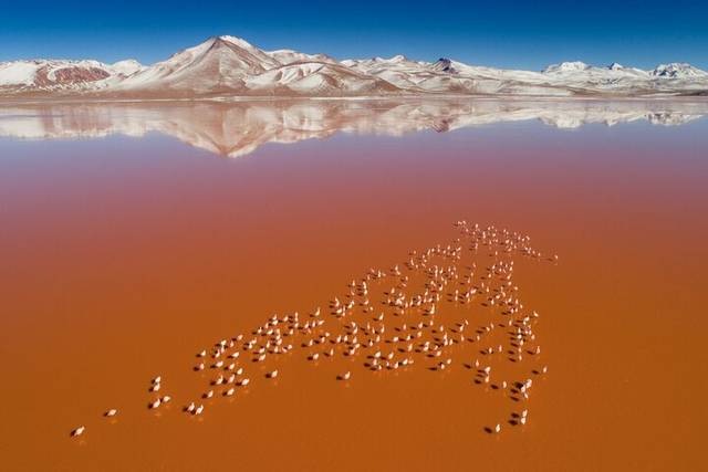 Uyuni Salt Flats