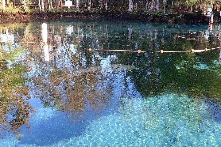 Crystal River, Crystal River