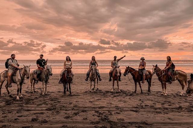 Horseback Rides