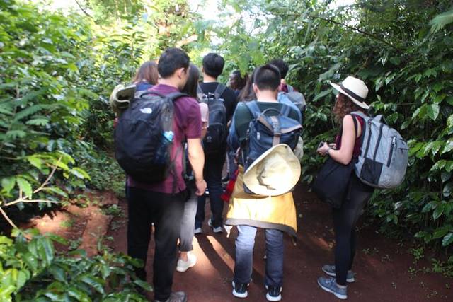 Coffee Farms