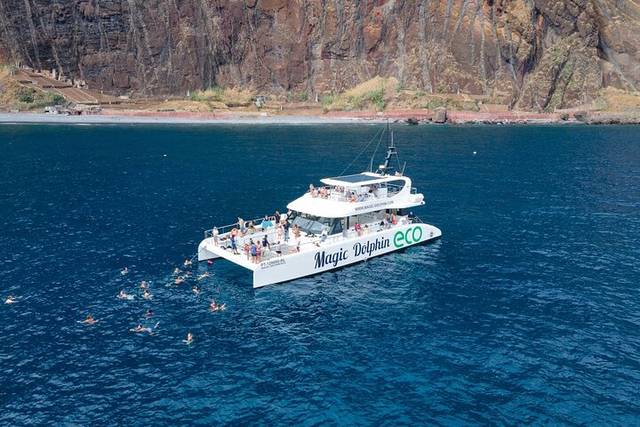 Dolphin Cruise