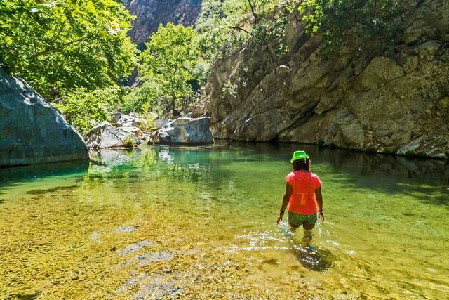Paradise Valley
