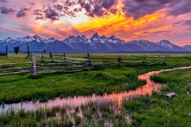 Wildlife Valley