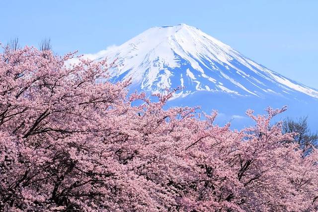 Mount Fuji