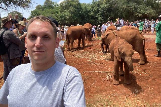 Elephants