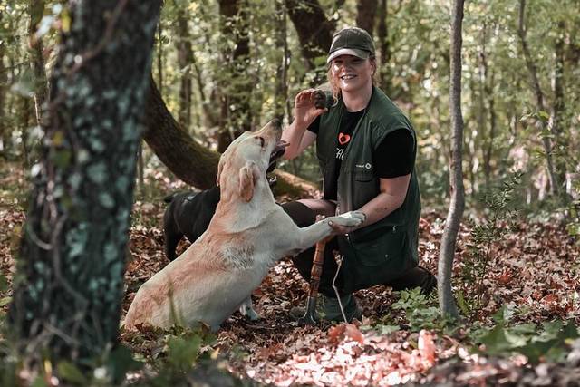 Truffle Hunt