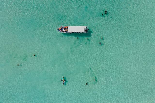 Bacalar