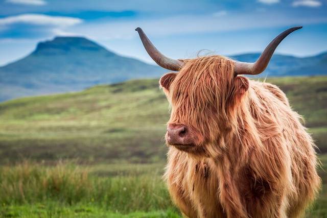 Glencoe & Highlands