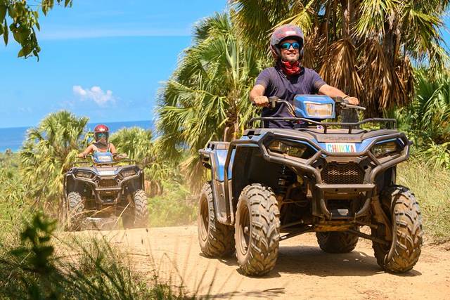Buggy Safari