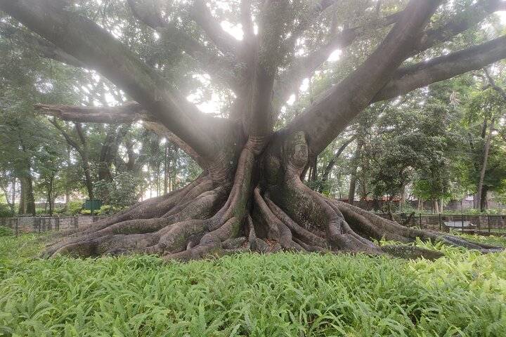 Lalbagh Garden, Bangalore
