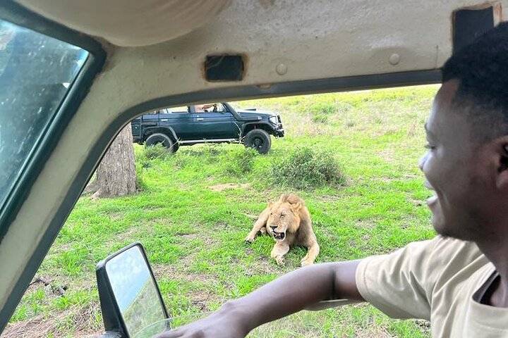 Mikumi Safari, Dar es Salaam