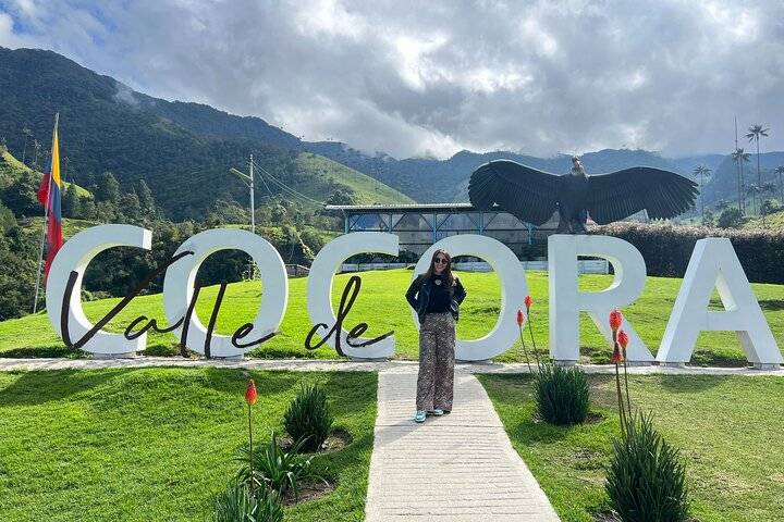 Cocora Valley, Salento