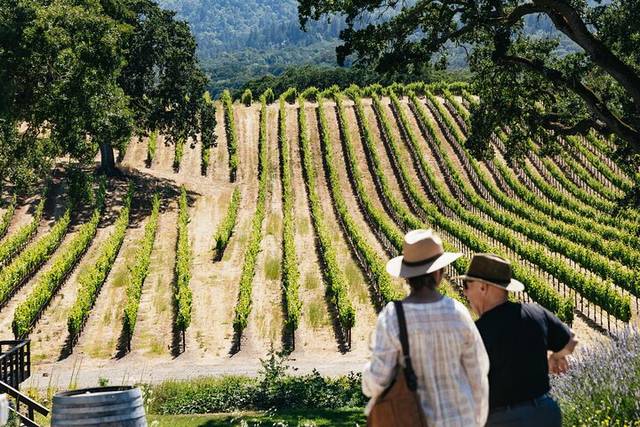 Santa Ynez