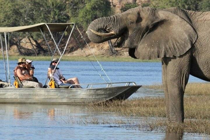 Chobe safari, Victoria Falls