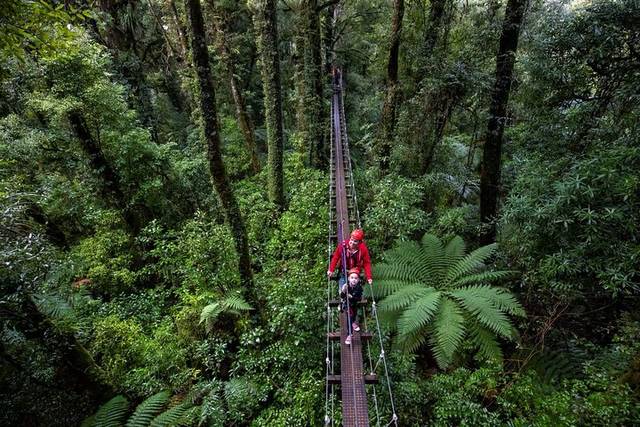 Ziplines