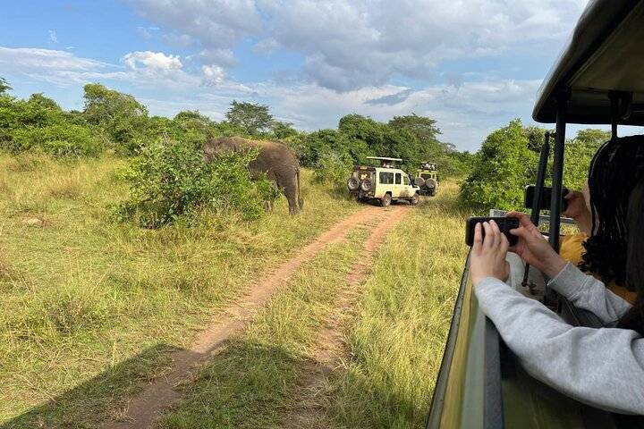 Akagera Safari, Kigali