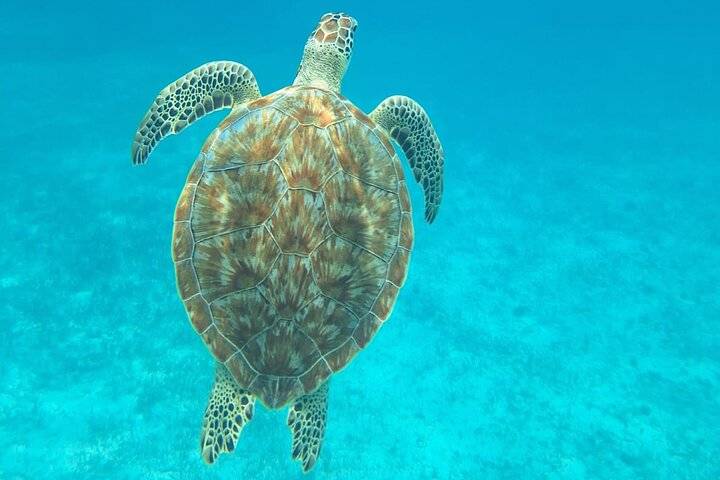 Caye Caulker, Ambergris Caye
