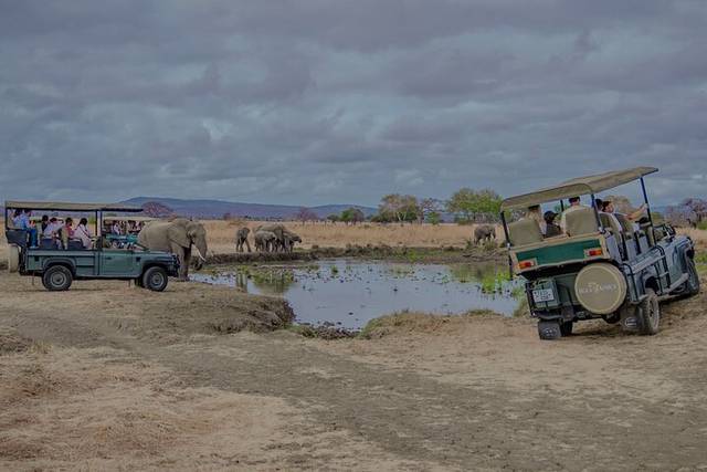Selous Safari