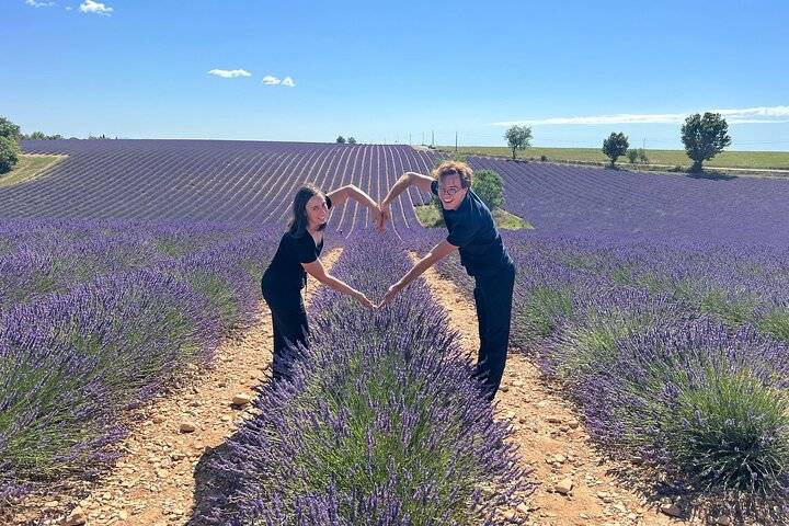 Lavender Fields, Avignon