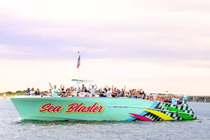 Dolphin Cruise, Sarasota