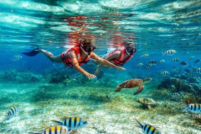 Coral Reefs