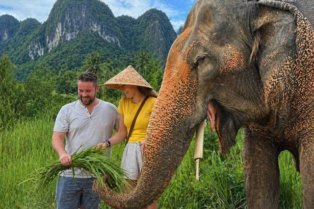 Elephant Sanctuary